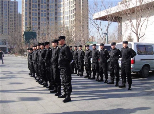 大型活動(dòng)保安工作的挑戰(zhàn)與對(duì)策 臨時(shí)保安服務(wù)公司的專(zhuān)業(yè)視角